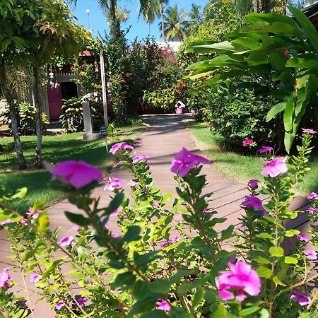 Hotel Casa Robinson Las Terrenas Zewnętrze zdjęcie