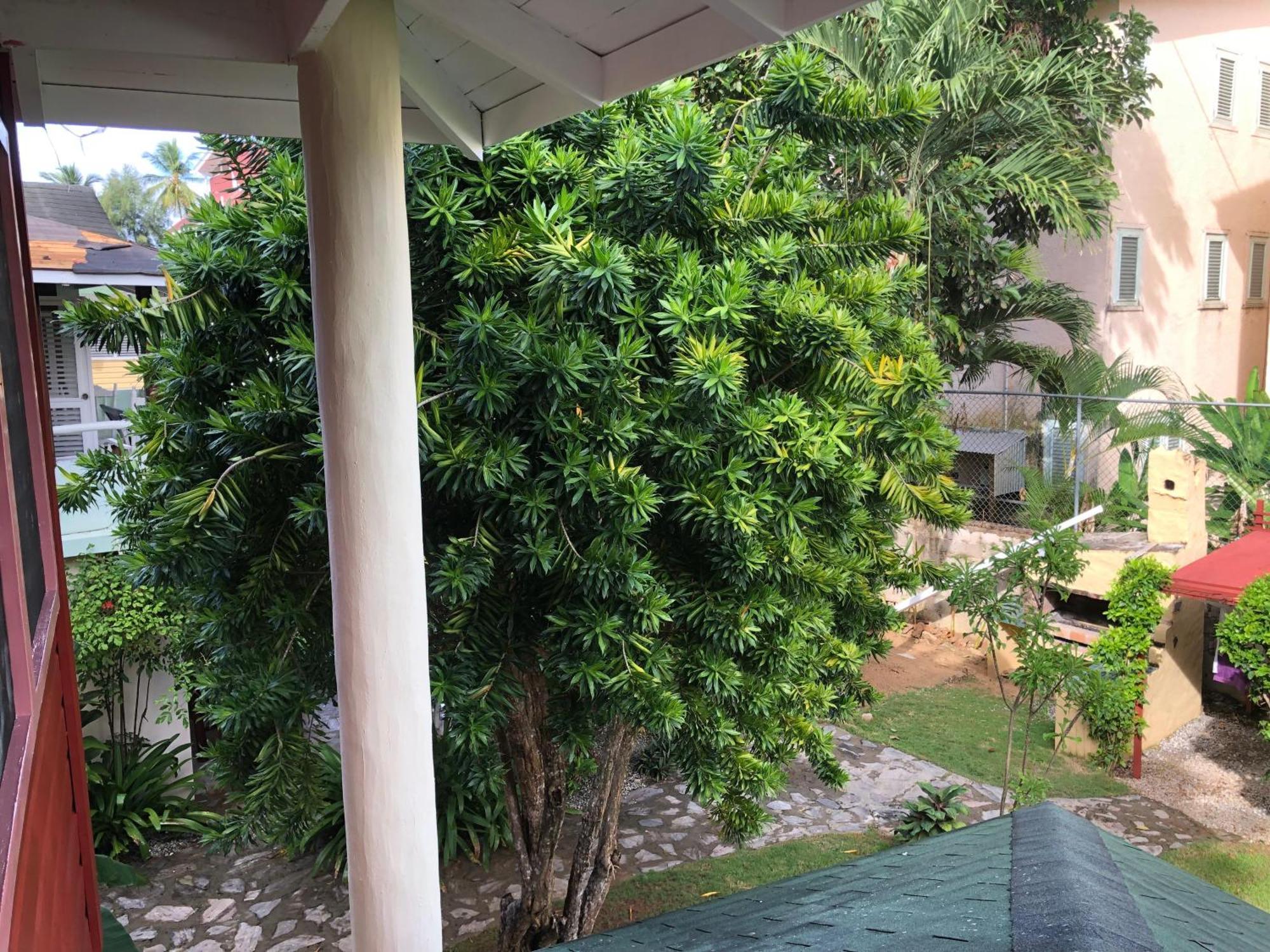 Hotel Casa Robinson Las Terrenas Zewnętrze zdjęcie