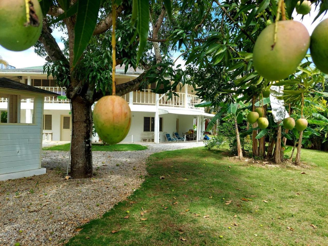 Hotel Casa Robinson Las Terrenas Zewnętrze zdjęcie