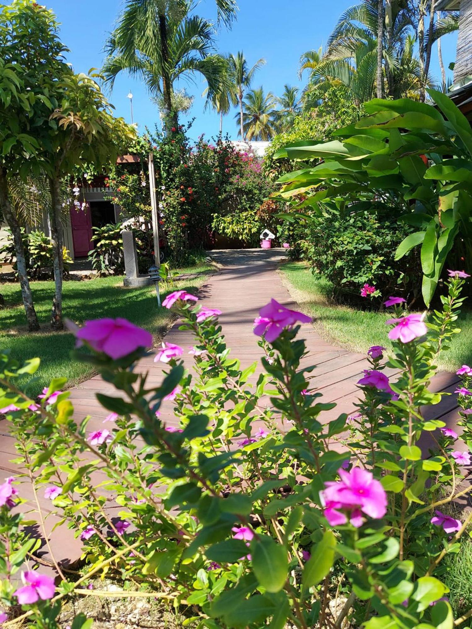 Hotel Casa Robinson Las Terrenas Zewnętrze zdjęcie