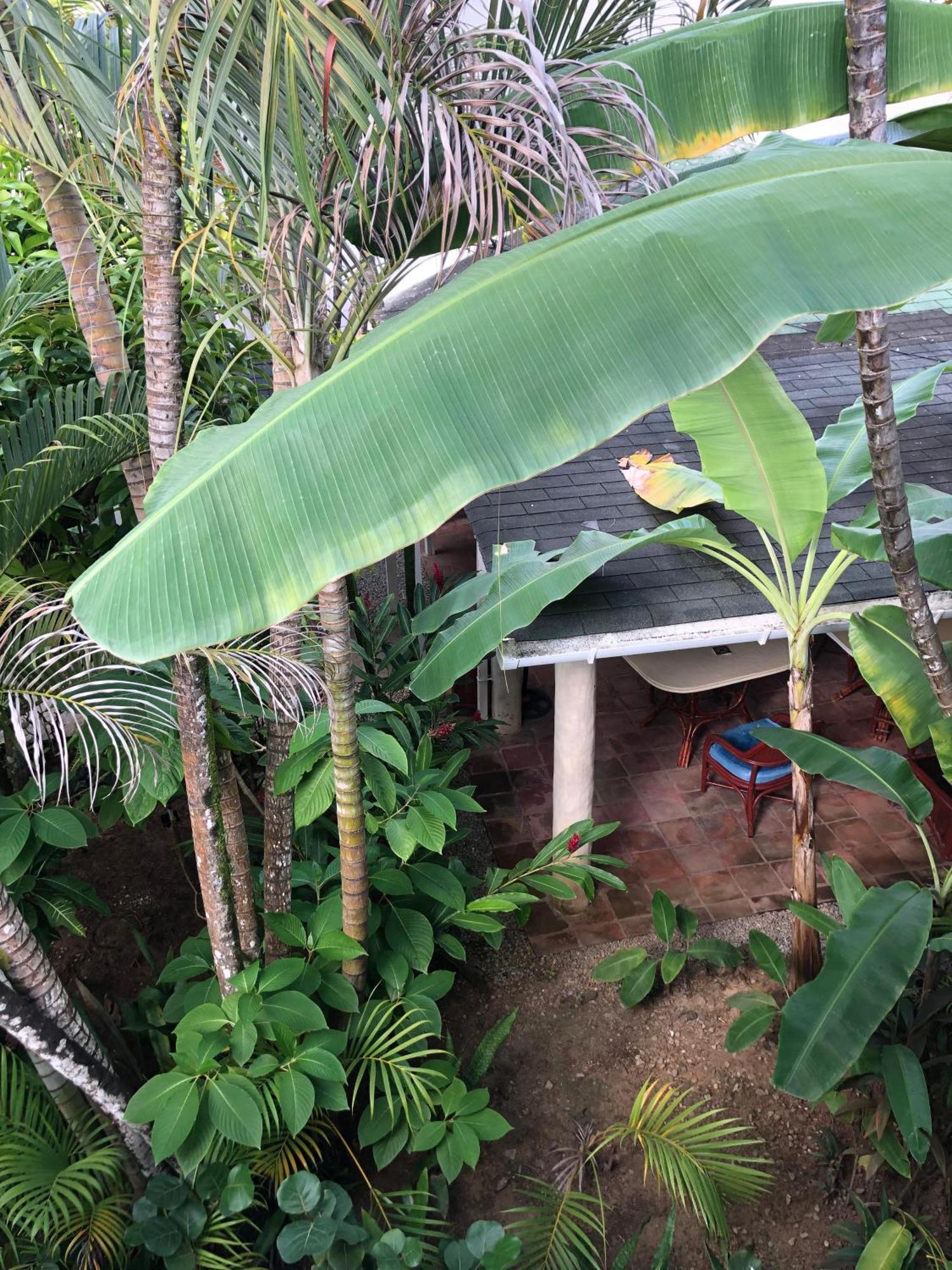 Hotel Casa Robinson Las Terrenas Zewnętrze zdjęcie