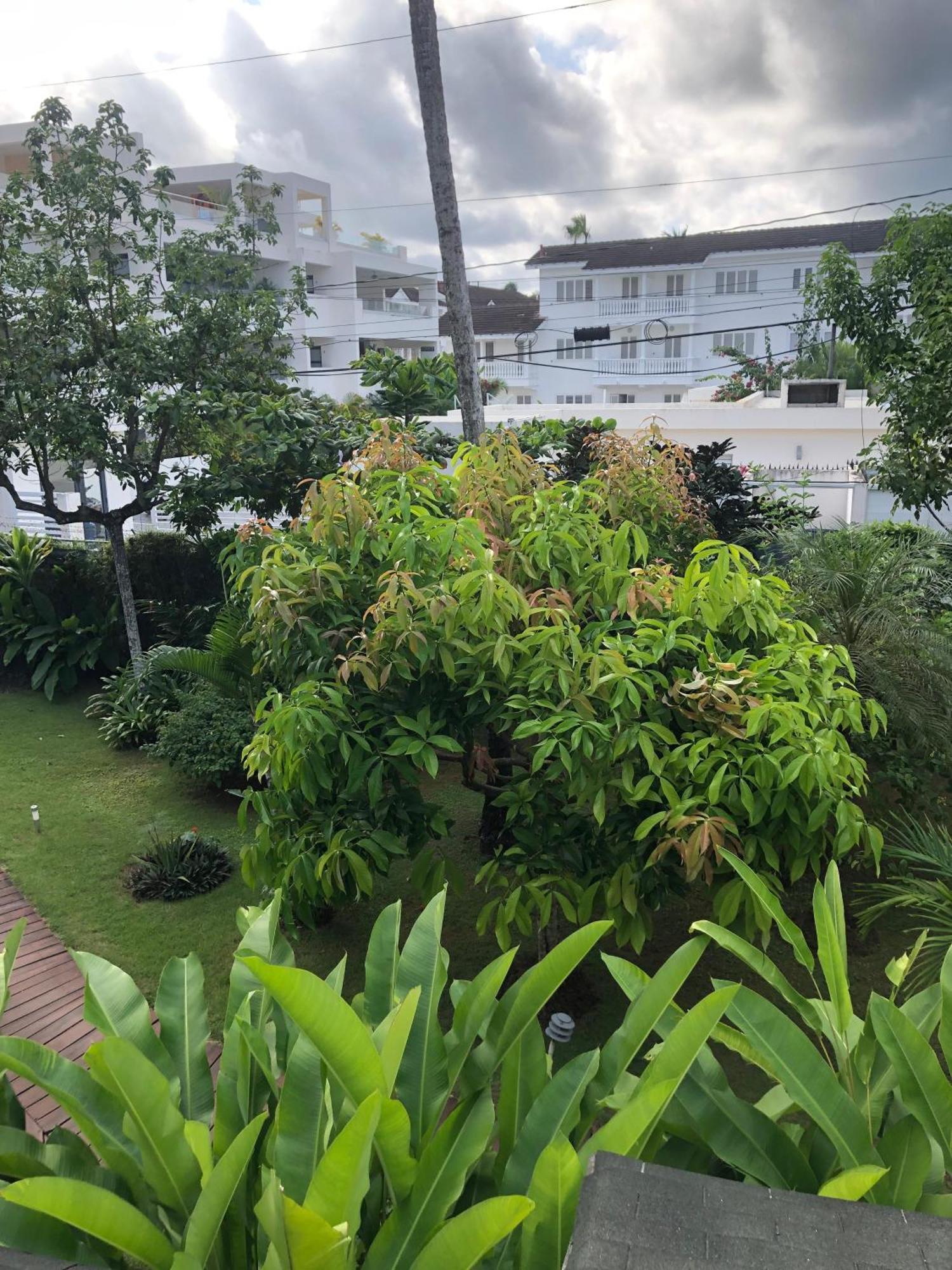 Hotel Casa Robinson Las Terrenas Zewnętrze zdjęcie