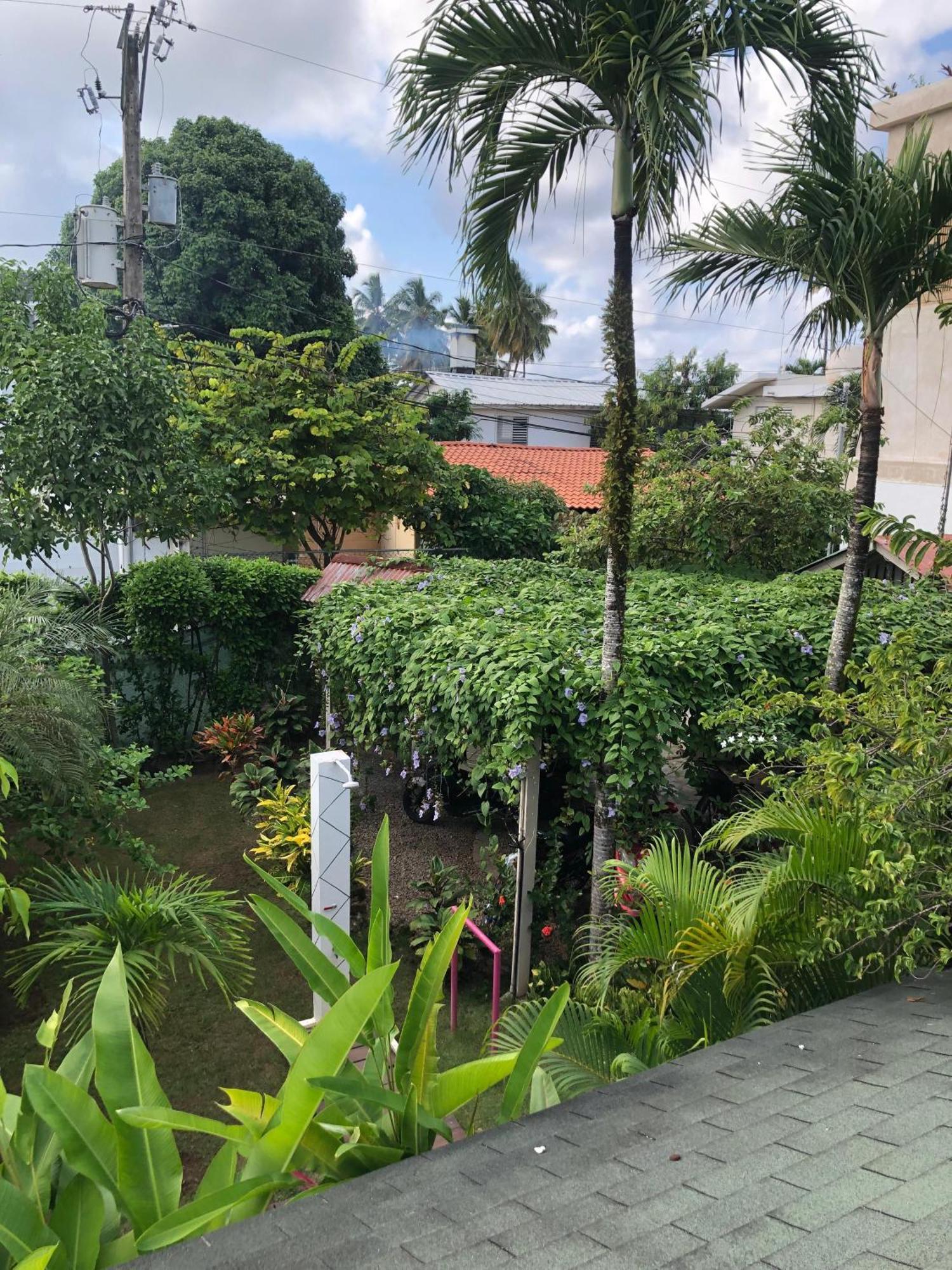 Hotel Casa Robinson Las Terrenas Zewnętrze zdjęcie