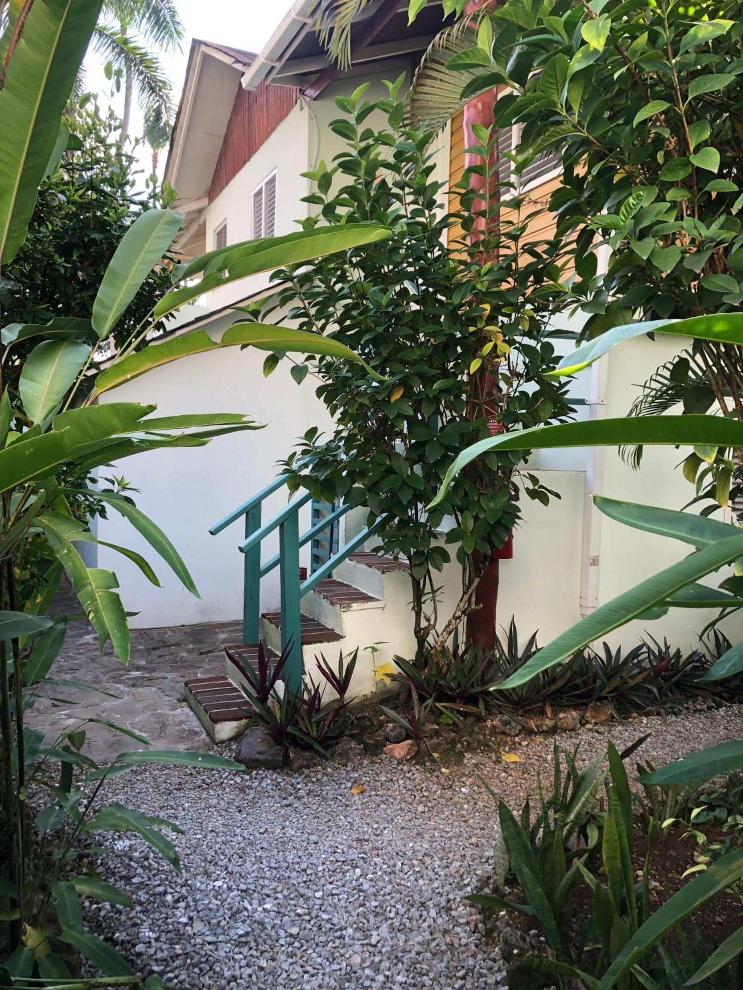 Hotel Casa Robinson Las Terrenas Zewnętrze zdjęcie