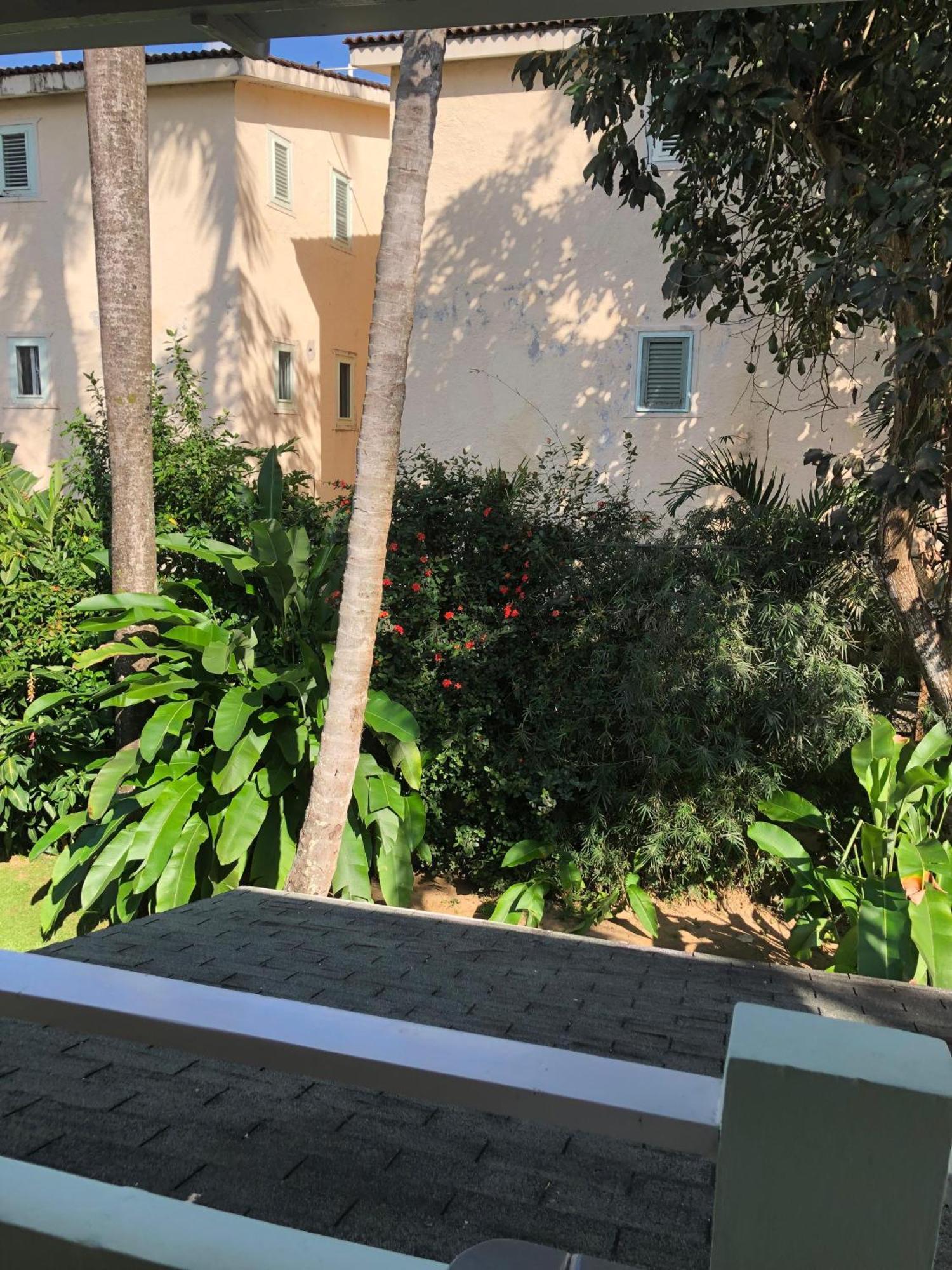 Hotel Casa Robinson Las Terrenas Zewnętrze zdjęcie