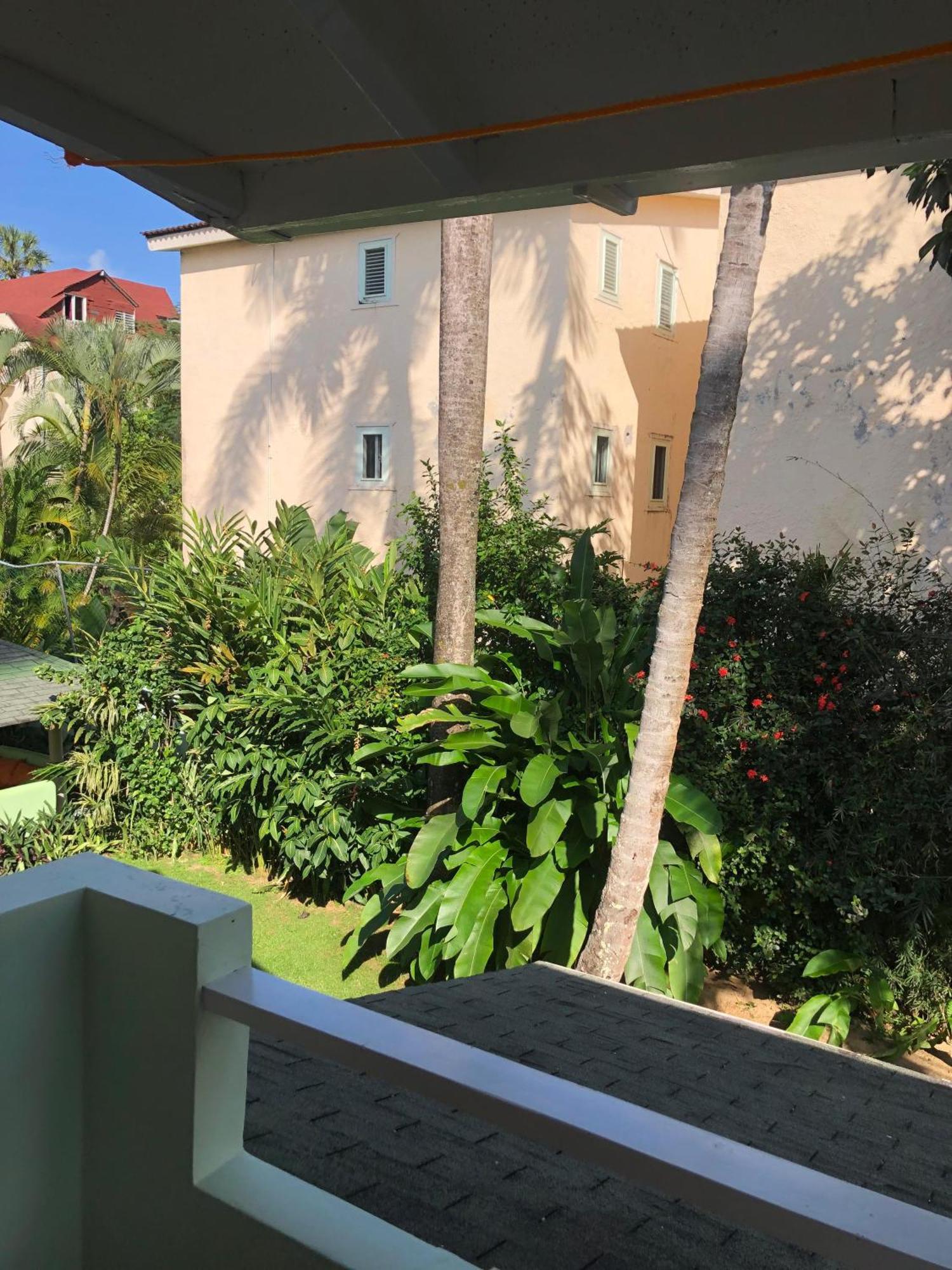 Hotel Casa Robinson Las Terrenas Zewnętrze zdjęcie