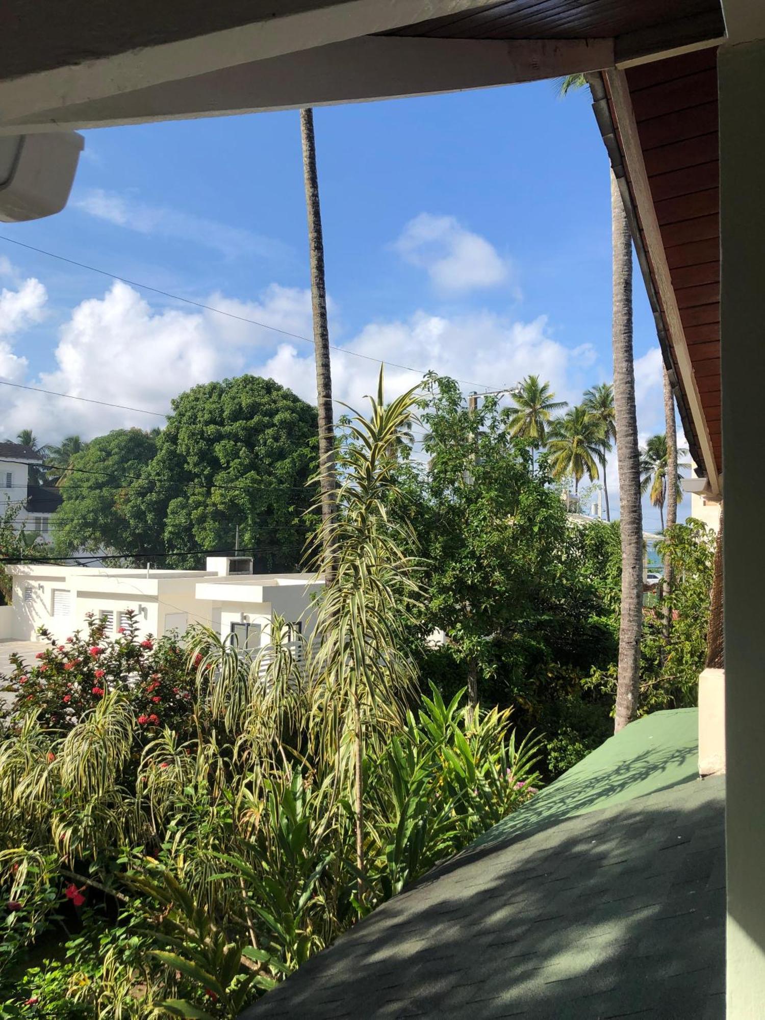 Hotel Casa Robinson Las Terrenas Zewnętrze zdjęcie